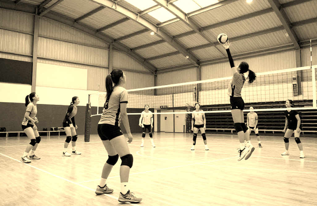Women's Volleyball World Cup 2027: 18 Tickets Locked, and the Price of Peaking at the Right Time