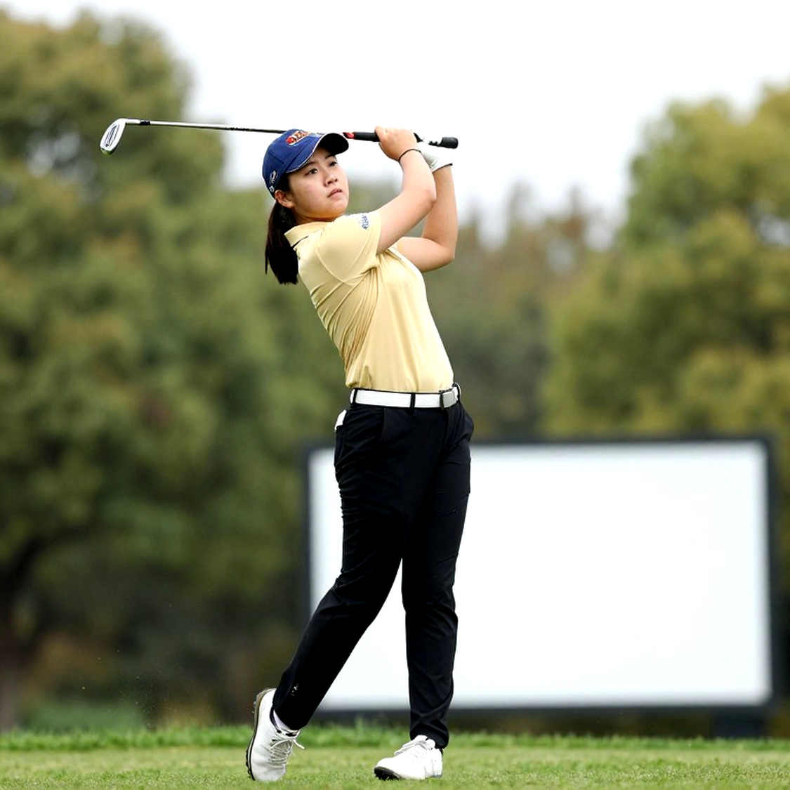 When Capital Reprices Professional Golf: PGA Tour, LIV Golf and the Restructuring of the World Ranking